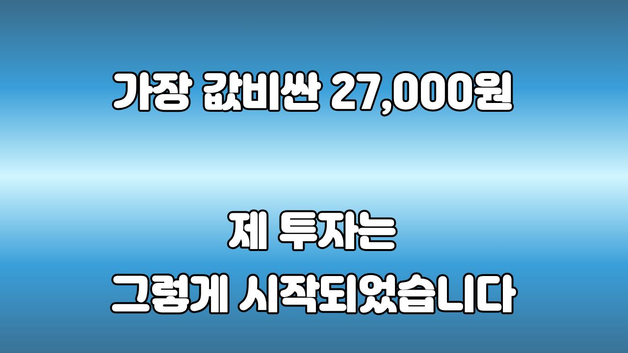 미국S&P500 장기 투자의 시작: 내 인생에서 가장 값비싼 27,000원